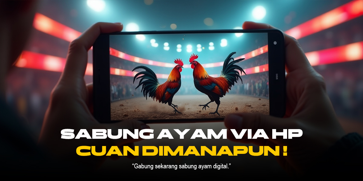 Membedah Dunia Sabung Ayam: Panduan Lengkap Provider, Jenis Ayam, dan ODS