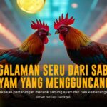 Mengenal Sabung Ayam SV388: Adu Strategi dan Keberuntungan