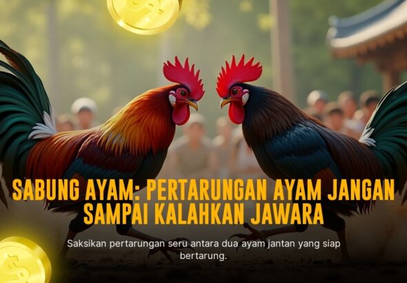 Mengenal Jenis Ayam Bangkok dalam Sabung Ayam SV388