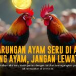 Menguak Jenis Ayam Aduan Paling Populer di Dunia Sabung Ayam