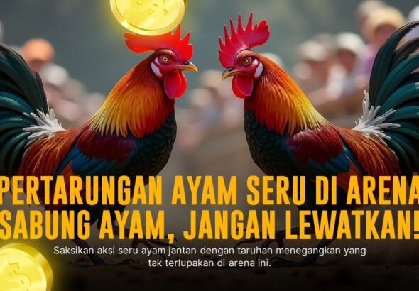 Menguak Jenis Ayam Aduan Paling Populer di Dunia Sabung Ayam