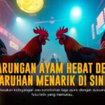 Mengenal Ayam Bangkok: Raja Sabung Ayam yang Legendaris